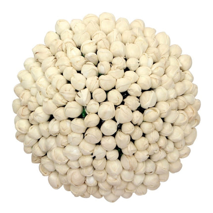 Women's White Color Juda Pin / Hair Pin